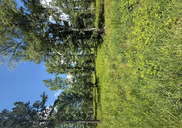 Photo 1 of Land for sale at 385 Shagbark Wy, Harlem, GA 30814 | MLS# 98224449 | Listing updated on 2026-08-18
