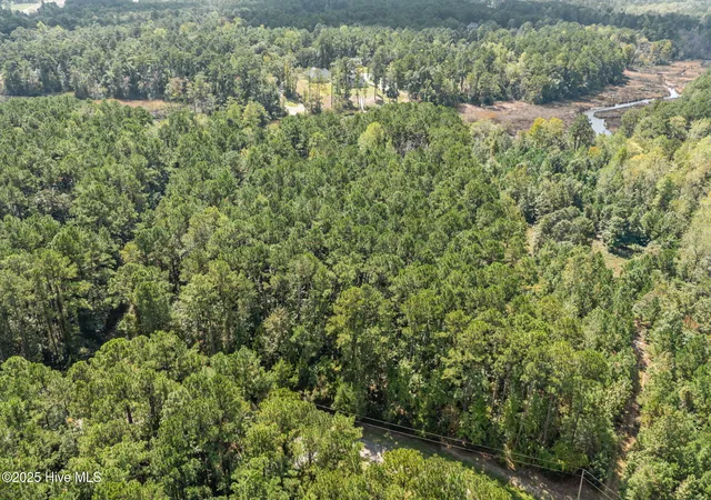 Photo 4 of Land for sale at 238 Mill Creek Rd, Stella, NC 28582 | MLS# 100599003 | Listing updated on 2026-08-27