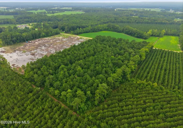 Photo 4 of Land for sale at 0 Saintsville Rd, Greenville, NC 27834 | MLS# 100592561 | Listing updated on 2026-09-14