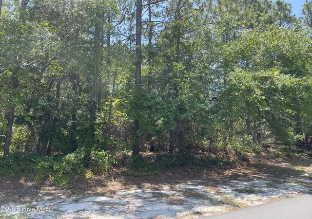 Photo 4 of Land for sale at 158 NW 2nd Street, Oak Island, NC 28465 | MLS# 100595139 | Listing updated on 2026-08-19