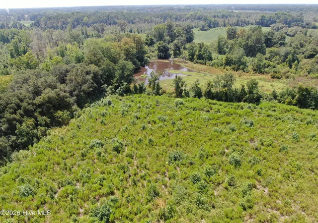 Photo 30 of Land for sale at Tbd Chicken Rd, Fairmont, NC 28340 | MLS# 100599032 | Listing updated on 2026-08-26