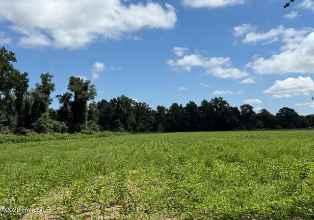 1st image of 6514 Princess Ann Rd, Evergreen, NC 28438 | MLS# 100595064