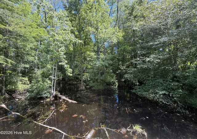 5th image of 6514 Princess Ann Rd, Evergreen, NC 28438 | MLS# 100595064