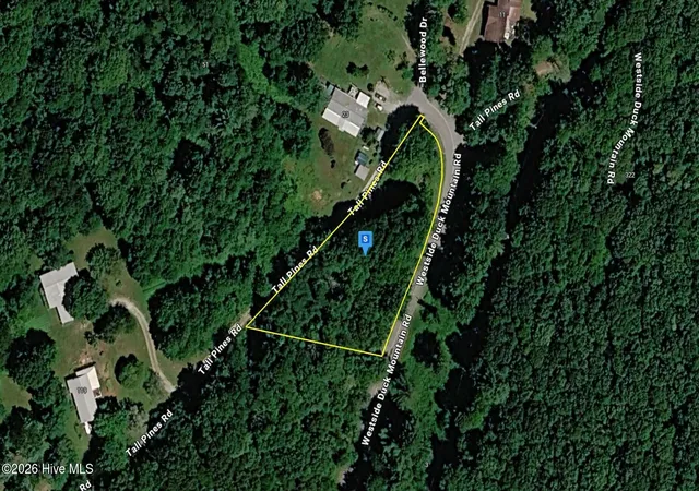 Photo 1 of Land for sale at 20 Tall Pines Rd, Franklin, NC 23851 | MLS# 100590506 | Listing updated on 2026-08-19