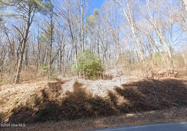 Photo 2 of Land for sale at 20 Tall Pines Rd, Franklin, NC 23851 | MLS# 100590506 | Listing updated on 2026-08-19