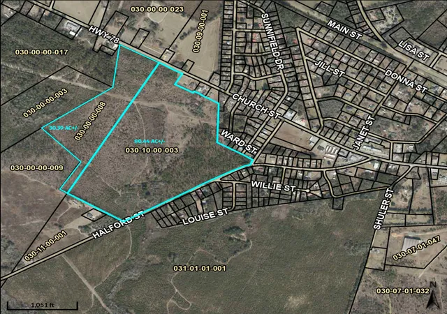 Photo 1 of Land for sale at 000 Highway 78, Williston, SC 29853 | MLS# 98254552 | Listing updated on 2026-08-18