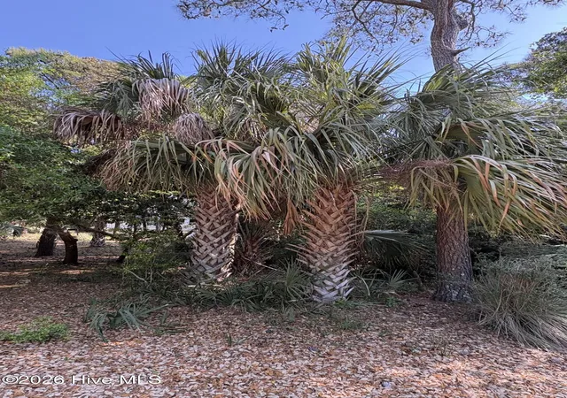 Photo 4 of Land for sale at 222 N Bald Head, Bald Head Island, NC 28461 | MLS# 100598207 | Listing updated on 2026-08-22