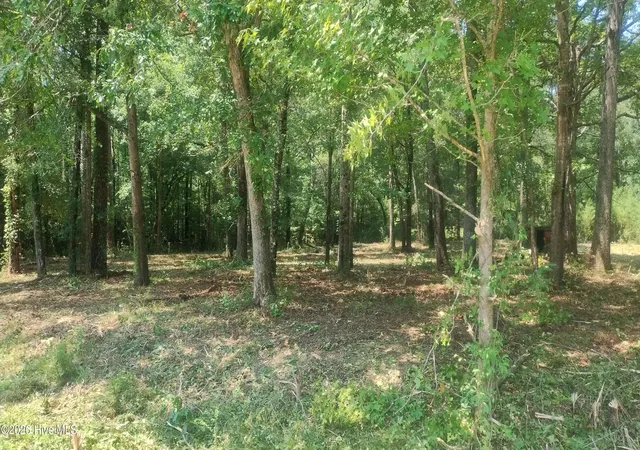 Photo 3 of Land for sale at 907 Hickory Dr NE, Leland, NC 28451 | MLS# 100576425 | Listing updated on 2026-08-21