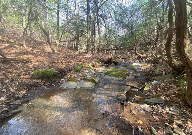 Photo 1 of Land for sale at 11 Ludlum Dr, Hayesville, NC 28904 | MLS# 98544636 | Listing updated on 2026-08-26