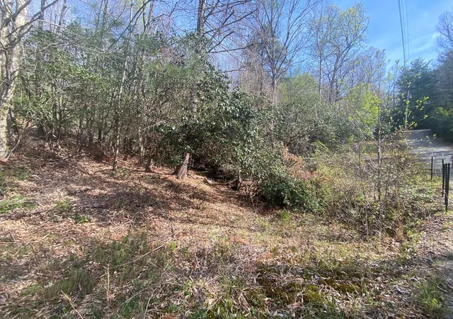 Photo 23 of Land for sale at 11 Ludlum Dr, Hayesville, NC 28904 | MLS# 98544636 | Listing updated on 2026-08-26