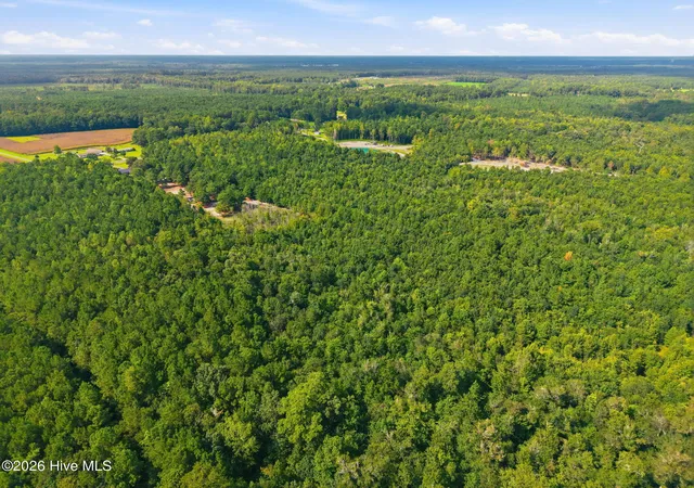 Photo 2 of Land for sale at L2 Verlinz Haws Run Rd, Maple Hill, NC 28454 | MLS# 100598613 | Listing updated on 2026-10-07