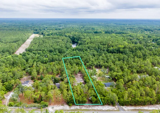 Photo 2 of Land for sale at 0 Bear Branch Dr, Currie, NC 28435 | MLS# 100588279 | Listing updated on 2026-08-24