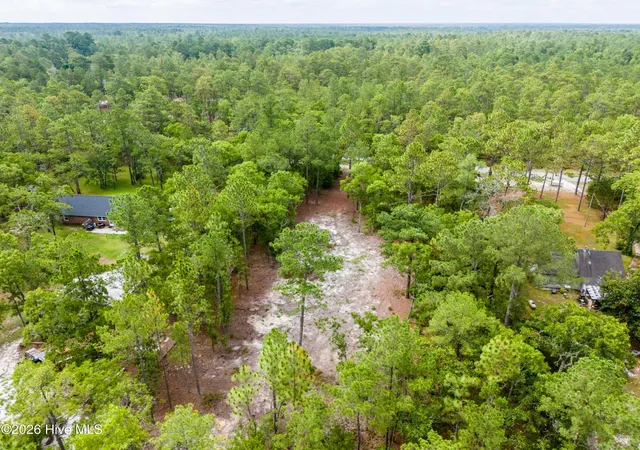 Photo 3 of Land for sale at 0 Bear Branch Dr, Currie, NC 28435 | MLS# 100588279 | Listing updated on 2026-08-24