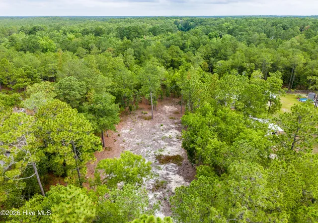 Photo 4 of Land for sale at 0 Bear Branch Dr, Currie, NC 28435 | MLS# 100588279 | Listing updated on 2026-08-24
