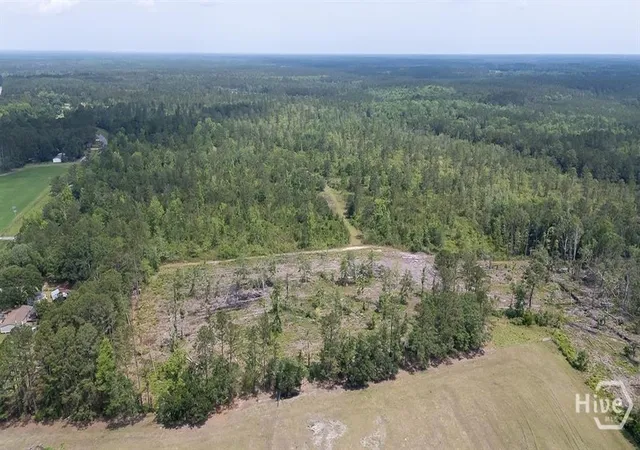 Photo 3 of Land for sale at 0 Old Louisville Rd #Lot 9, Guyton, GA 31312 | MLS# SA363161 | Listing updated on 2026-08-23