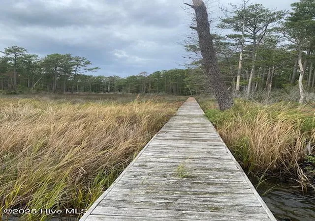 Photo 2 of Land for sale at 8 Pine Crest Rd, Bath, NC 27808 | MLS# 100599077 | Listing updated on 2026-08-26