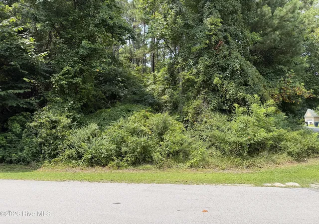 Photo 3 of Land for sale at 919 Mandarin Trl, Jacksonville, NC 28540 | MLS# 100590906 | Listing updated on 2026-10-02