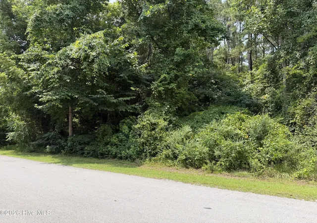 Photo 4 of Land for sale at 919 Mandarin Trl, Jacksonville, NC 28540 | MLS# 100590906 | Listing updated on 2026-10-02