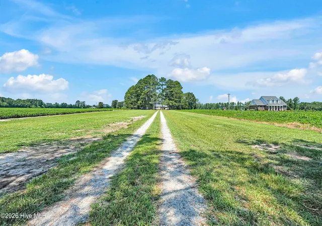 Photo 2 of Single family home for sale at 3275 Horse Branch Rd, Willard, NC 28478 | MLS# 100598019 | Listing updated on 2026-09-15