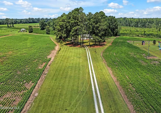 Photo 3 of Single family home for sale at 3275 Horse Branch Rd, Willard, NC 28478 | MLS# 100598019 | Listing updated on 2026-09-15