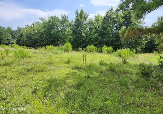 Photo 2 of Land for sale at 306 Howards Landing Rd, Hampstead, NC 28443 | MLS# 100598717 | Listing updated on 2026-09-07