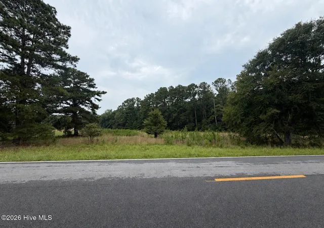 Photo 1 of Land for sale at 0 Mayfield Rd, Warrenton, GA 30828 | MLS# 100593017 | Listing updated on 2026-08-19