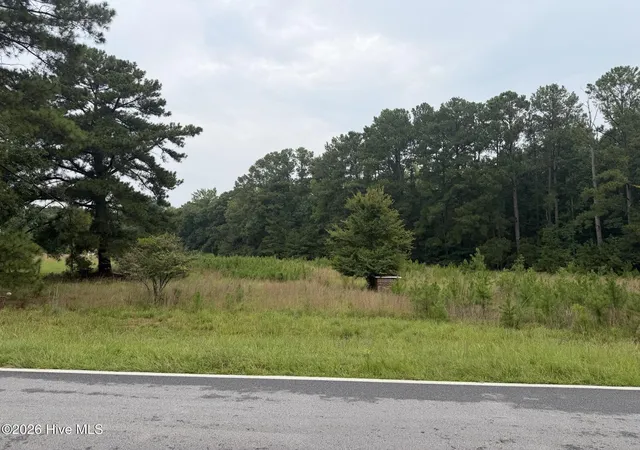 Photo 2 of Land for sale at 0 Mayfield Rd, Warrenton, GA 30828 | MLS# 100593017 | Listing updated on 2026-08-19