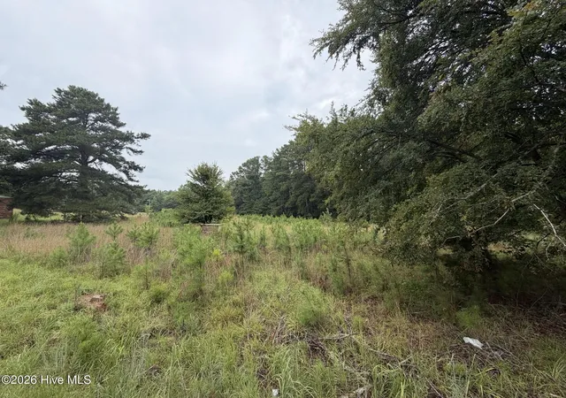 Photo 3 of Land for sale at 0 Mayfield Rd, Warrenton, GA 30828 | MLS# 100593017 | Listing updated on 2026-08-19