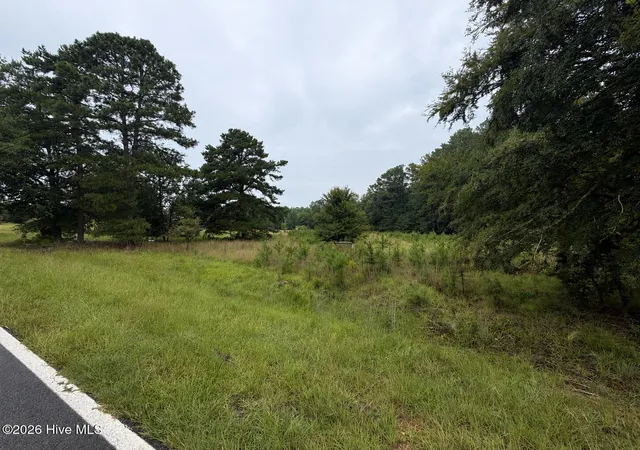 Photo 3 of Land for sale at 0 Mayfield Rd, Warrenton, GA 30828 | MLS# 100593017 | Listing updated on 2026-08-19