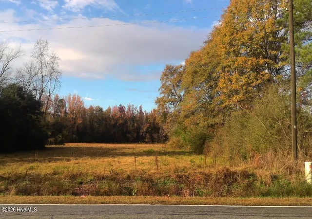 Photo 2 of Land for sale at 177 Ac Will Baker Rd, Kinston, NC 28504 | MLS# 100592021 | Listing updated on 2026-09-09
