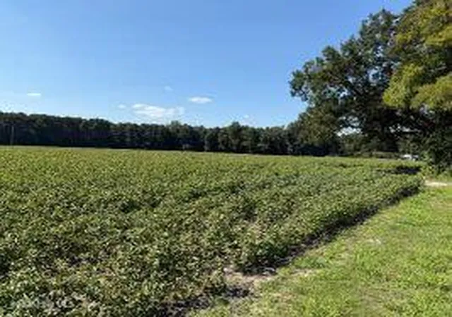 Photo 1 of Land for sale at 1400 Holly Springs Church Rd, Williamston, NC 27892 | MLS# 100598907 | Listing updated on 2026-08-31