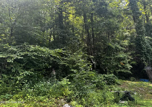 Photo 1 of Land for sale at 2710 Junaluska Rd, Andrews, NC 28901 | MLS# 100598764 | Listing updated on 2026-08-25