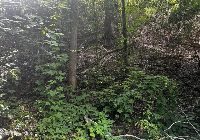 Photo 2 of Land for sale at 2710 Junaluska Rd, Andrews, NC 28901 | MLS# 100598764 | Listing updated on 2026-08-25