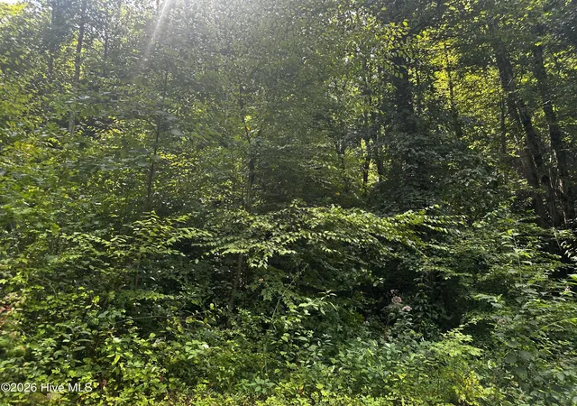 Photo 7 of Land for sale at 2710 Junaluska Rd, Andrews, NC 28901 | MLS# 100598764 | Listing updated on 2026-08-25