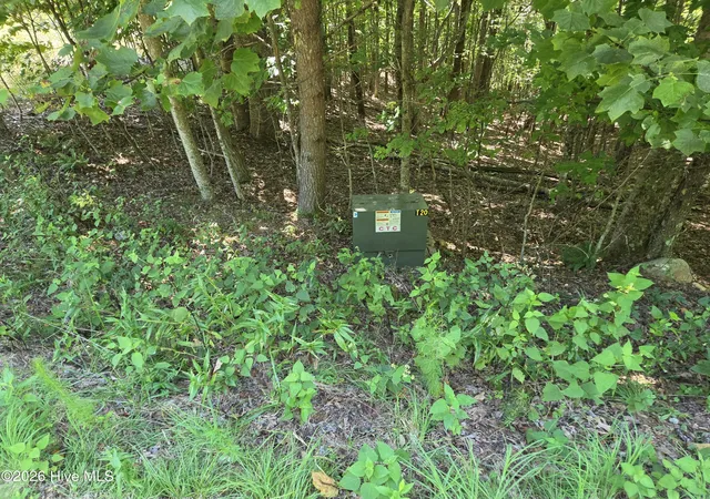 Photo 3 of Land for sale at Lot 69 Collins Ct, Murphy, NC 28906 | MLS# 100598086 | Listing updated on 2026-08-21