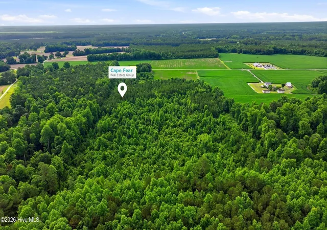 Photo 3 of Land for sale at Lot 9 Point Caswell Rd, Willard, NC 28478 | MLS# 100597335 | Listing updated on 2026-08-19