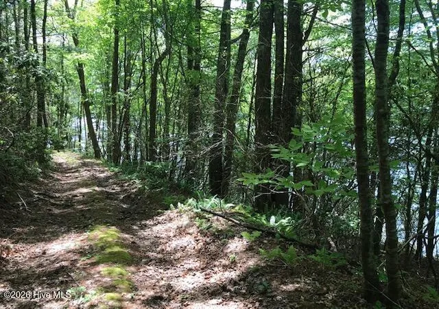 Photo 2 of Land for sale at 21 Rainwater Pt, Topton, NC 28781 | MLS# 100598724 | Listing updated on 2026-08-25