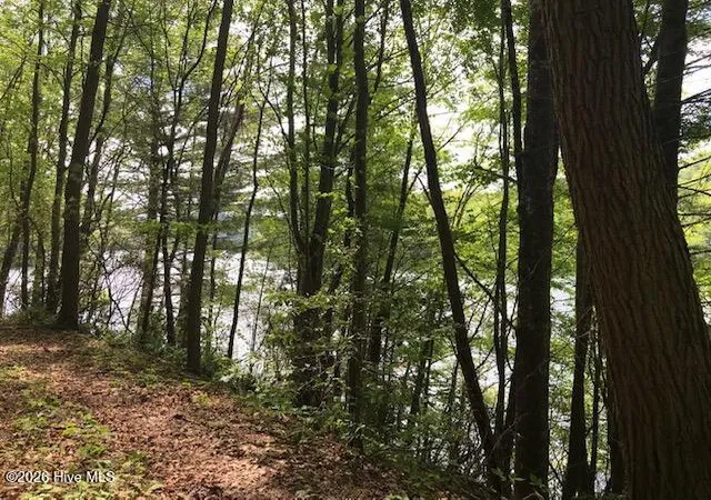 Photo 3 of Land for sale at 21 Rainwater Pt, Topton, NC 28781 | MLS# 100598724 | Listing updated on 2026-08-25