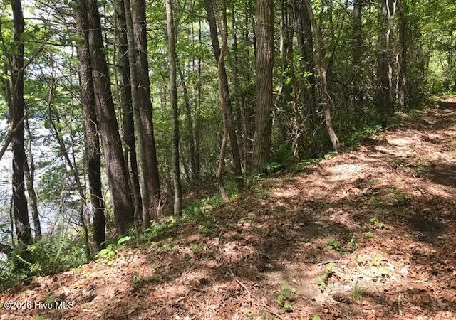 Photo 4 of Land for sale at 21 Rainwater Pt, Topton, NC 28781 | MLS# 100598724 | Listing updated on 2026-08-25