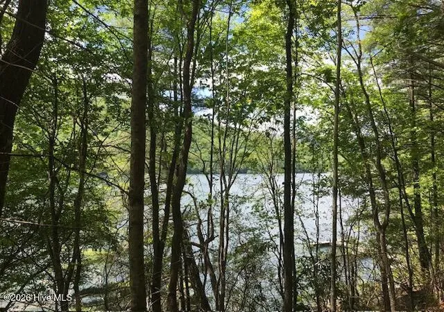 Photo 5 of Land for sale at 21 Rainwater Pt, Topton, NC 28781 | MLS# 100598724 | Listing updated on 2026-08-25