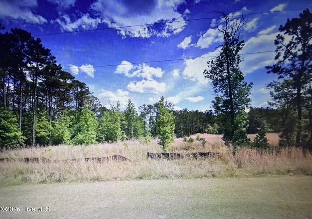 Photo 1 of Land for sale at 1019 Eagles Nest Trl, Tignall, GA 30668 | MLS# 100598357 | Listing updated on 2026-08-23