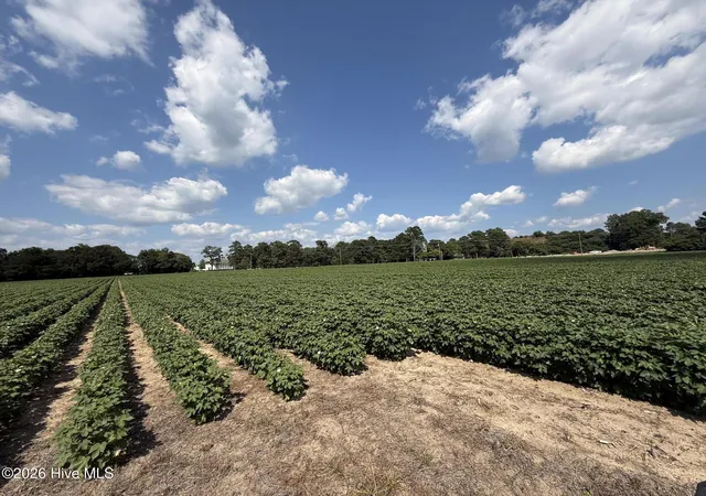 Photo 32 of Land for sale at 2740 Nc 71 Hwy, Maxton, NC 28364 | MLS# 100596565 | Listing updated on 2026-08-19