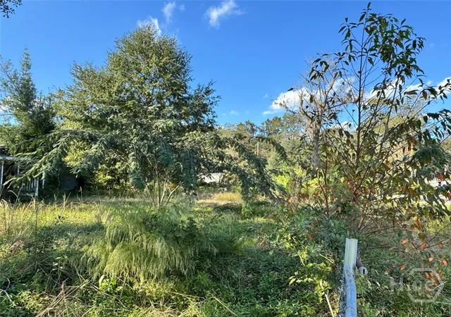Land for sale at 251 Oak Dr, Bloomingdale, GA 31302 | MLS# SA341764