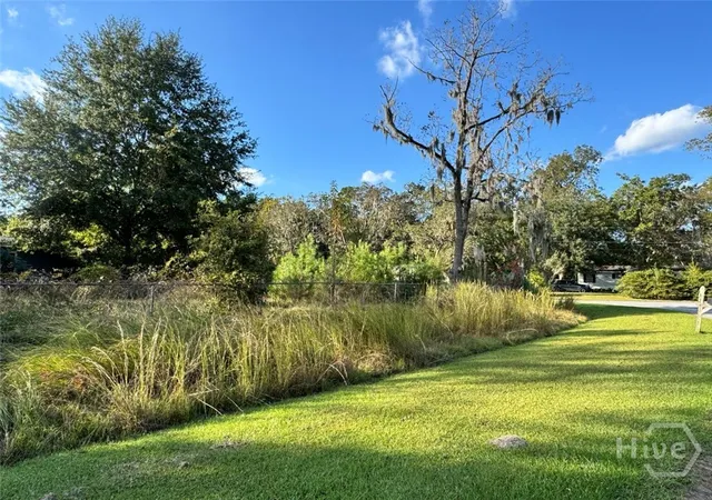Photo 2 of Land for sale at 251 Oak Dr, Bloomingdale, GA 31302 | MLS# SA341764 | Listing updated on 2026-10-09