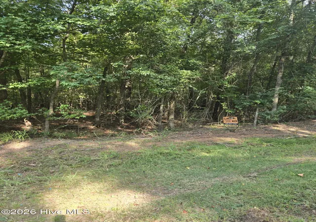 Photo 2 of Land for sale at 0 Deer Run Ct, Lincolnton, GA 30817 | MLS# 100598162 | Listing updated on 2026-10-09