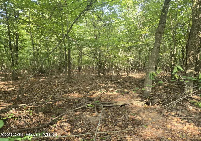 Photo 3 of Land for sale at 0 Deer Run Ct, Lincolnton, GA 30817 | MLS# 100598162 | Listing updated on 2026-10-09