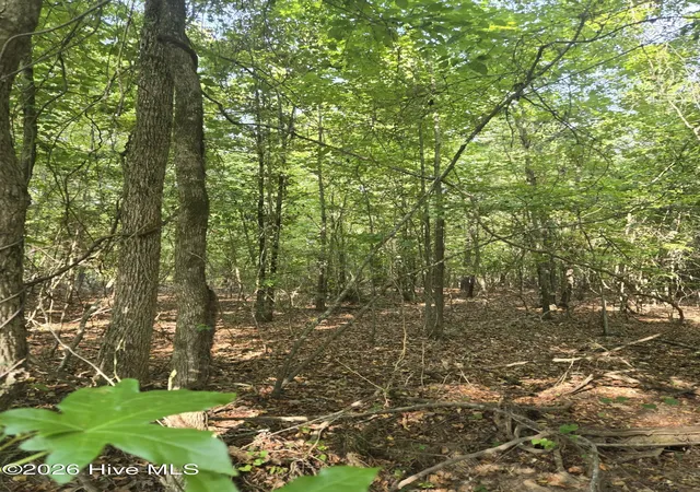 Photo 4 of Land for sale at 0 Deer Run Ct, Lincolnton, GA 30817 | MLS# 100598162 | Listing updated on 2026-10-09