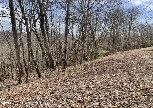 Photo 13 of Land for sale at 11a 11b Hidden Lakes Rd, Topton, NC 28781 | MLS# 100597991 | Listing updated on 2026-08-23