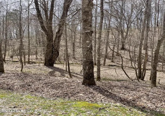 Photo 2 of Land for sale at 11a 11b Hidden Lakes Rd, Topton, NC 28781 | MLS# 100597991 | Listing updated on 2026-08-23