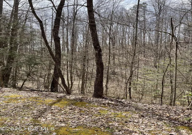 Photo 3 of Land for sale at 11a 11b Hidden Lakes Rd, Topton, NC 28781 | MLS# 100597991 | Listing updated on 2026-08-23